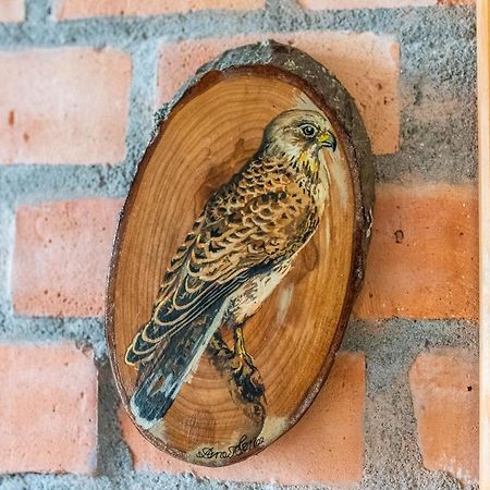 Falkenwohnung Gommern Dış mekan fotoğraf